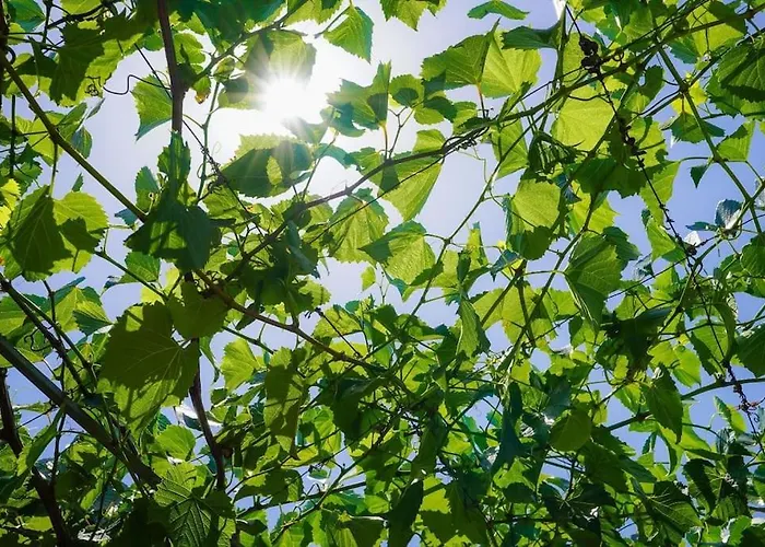 Pietra Viva 마르타노